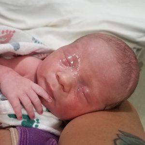 Meet your Posher, William